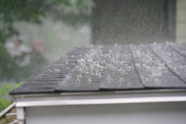 Best Roof Maintenance and Cleaning  in Roseland, FL