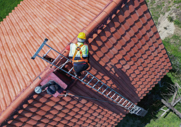 Best Green or Eco-Friendly Roofing Solutions  in Roseland, FL